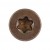 S.Bronze.Hd.jpg