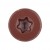 Hidden.Hd.Brown.jpg